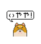 ドット絵！関西弁の柴犬（個別スタンプ：4）