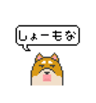 ドット絵！関西弁の柴犬（個別スタンプ：6）