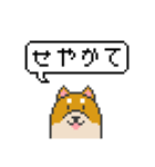 ドット絵！関西弁の柴犬（個別スタンプ：7）