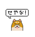 ドット絵！関西弁の柴犬（個別スタンプ：8）