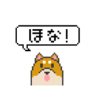 ドット絵！関西弁の柴犬（個別スタンプ：11）