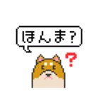 ドット絵！関西弁の柴犬（個別スタンプ：12）
