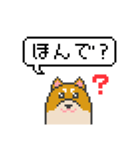ドット絵！関西弁の柴犬（個別スタンプ：13）
