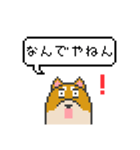 ドット絵！関西弁の柴犬（個別スタンプ：15）