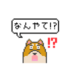 ドット絵！関西弁の柴犬（個別スタンプ：16）