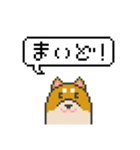 ドット絵！関西弁の柴犬（個別スタンプ：17）