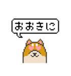 ドット絵！関西弁の柴犬（個別スタンプ：18）
