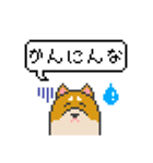 ドット絵！関西弁の柴犬（個別スタンプ：21）
