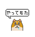 ドット絵！関西弁の柴犬（個別スタンプ：23）