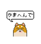 ドット絵！関西弁の柴犬（個別スタンプ：24）