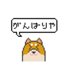 ドット絵！関西弁の柴犬（個別スタンプ：25）