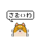 ドット絵！関西弁の柴犬（個別スタンプ：28）
