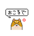 ドット絵！関西弁の柴犬（個別スタンプ：30）