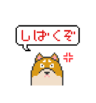 ドット絵！関西弁の柴犬（個別スタンプ：31）