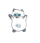 ふわふわヒマラヤン猫（個別スタンプ：1）