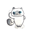 ふわふわヒマラヤン猫（個別スタンプ：8）