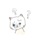ふわふわヒマラヤン猫（個別スタンプ：9）