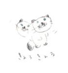 ふわふわヒマラヤン猫（個別スタンプ：20）