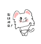 可愛い猫/(korea version.3)（個別スタンプ：3）