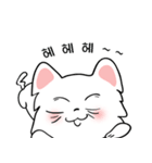可愛い猫/(korea version.3)（個別スタンプ：6）