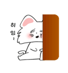 可愛い猫/(korea version.3)（個別スタンプ：10）