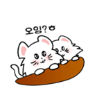 可愛い猫/(korea version.3)（個別スタンプ：13）