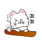 可愛い猫/(korea version.3)（個別スタンプ：17）