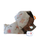 あっきースタンプ1（個別スタンプ：4）