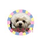 りんりんとモコスタンプ♡2（個別スタンプ：8）