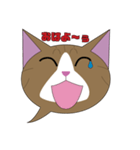 まゆげ猫まゆたま～ふきだしは占拠しました（個別スタンプ：1）