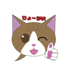 まゆげ猫まゆたま～ふきだしは占拠しました（個別スタンプ：2）