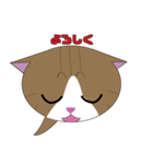 まゆげ猫まゆたま～ふきだしは占拠しました（個別スタンプ：4）