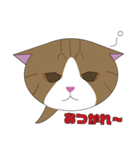 まゆげ猫まゆたま～ふきだしは占拠しました（個別スタンプ：5）