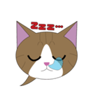 まゆげ猫まゆたま～ふきだしは占拠しました（個別スタンプ：7）