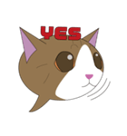 まゆげ猫まゆたま～ふきだしは占拠しました（個別スタンプ：8）