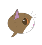 まゆげ猫まゆたま～ふきだしは占拠しました（個別スタンプ：14）