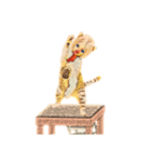 ハッピーCAT GIRL（個別スタンプ：3）
