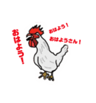 トリ殿（個別スタンプ：7）