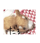 しば犬【手作り】スタンプ（個別スタンプ：5）