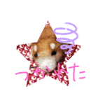 しば犬【手作り】スタンプ（個別スタンプ：6）