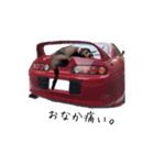 ふぇれすた。(車 ver)（個別スタンプ：37）