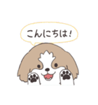 ほんわかシーズー犬の日常<敬語>（個別スタンプ：25）