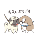 ほんわかシーズー犬の日常<敬語>（個別スタンプ：35）