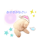 【ビションフリーゼ】もわもわモワちゃん（個別スタンプ：3）