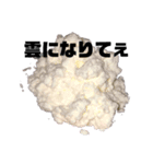 世界一需要がない俺得（個別スタンプ：3）