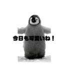 世界一需要がない俺得（個別スタンプ：5）