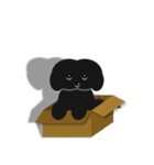 黒犬 タールくん 2（個別スタンプ：10）