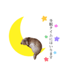 リボンちゃんスタンプ（個別スタンプ：6）