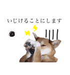 リボンちゃんスタンプ（個別スタンプ：8）