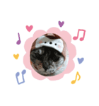 みーちゃんとニャンコ（個別スタンプ：5）